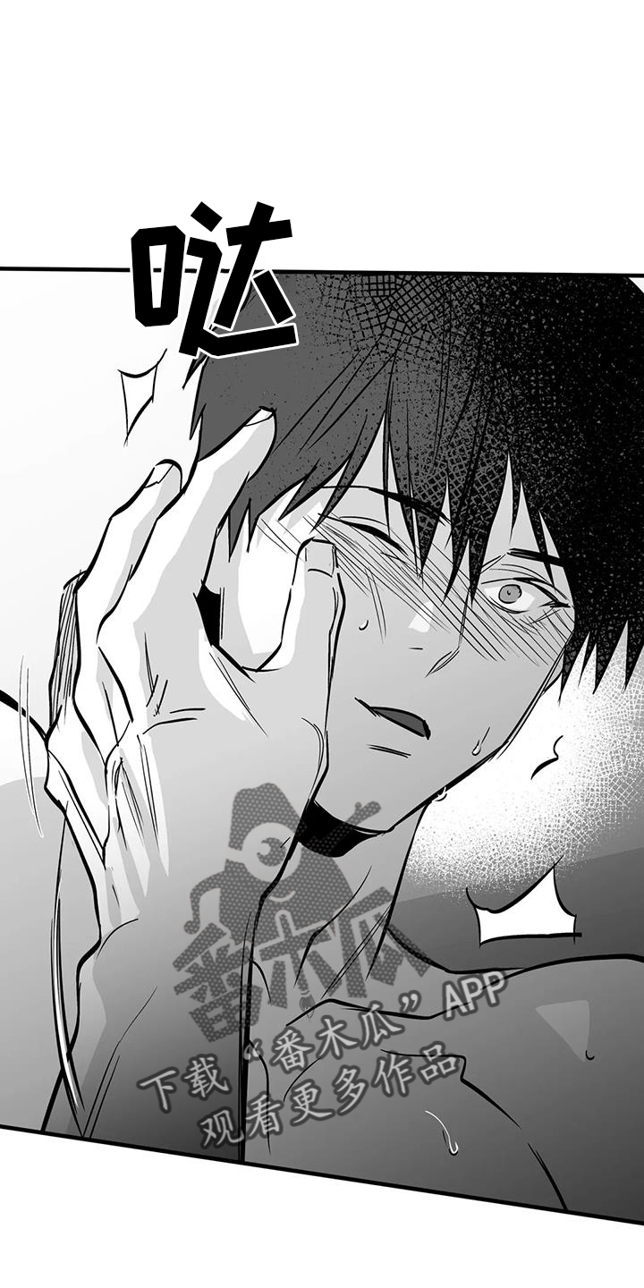 拳击手漫画,第235章：【第三季】别动2图