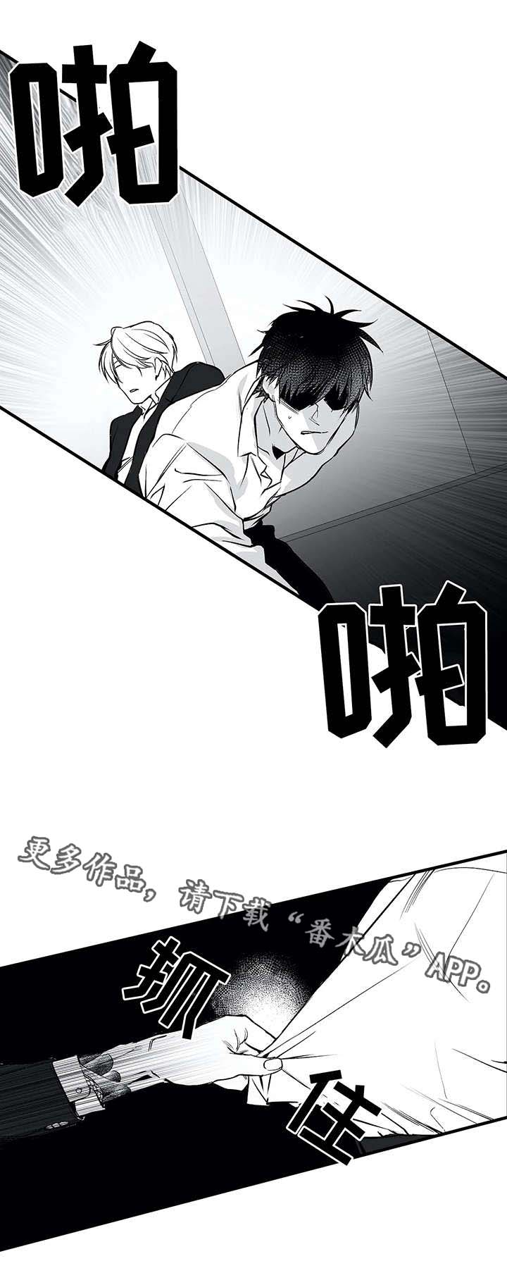 拳击手漫画,第14章：寻仇1图