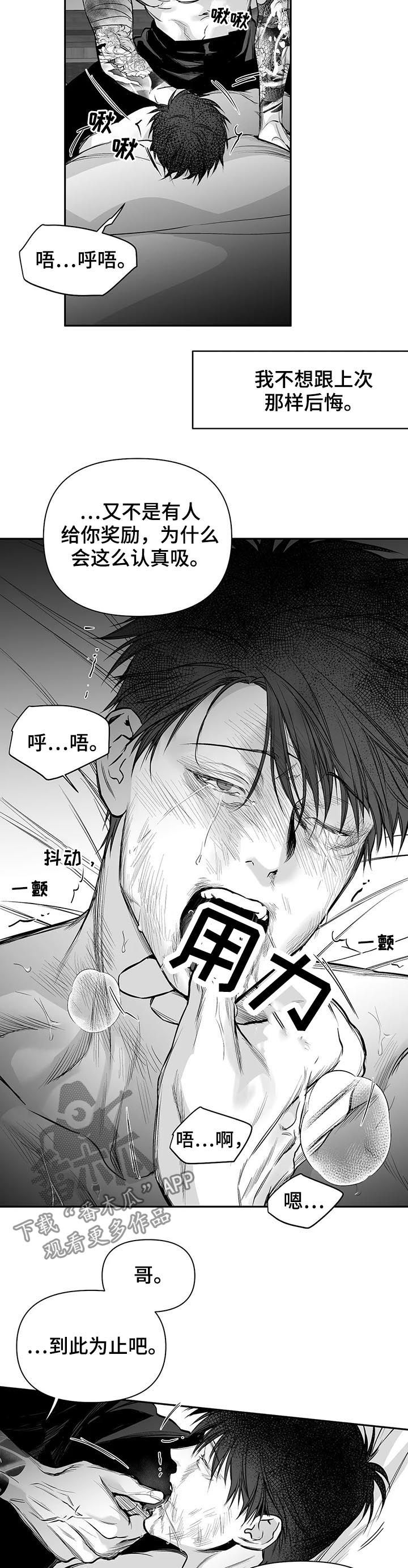 拳击手漫画,第121章：【第二季】到此为止吧2图