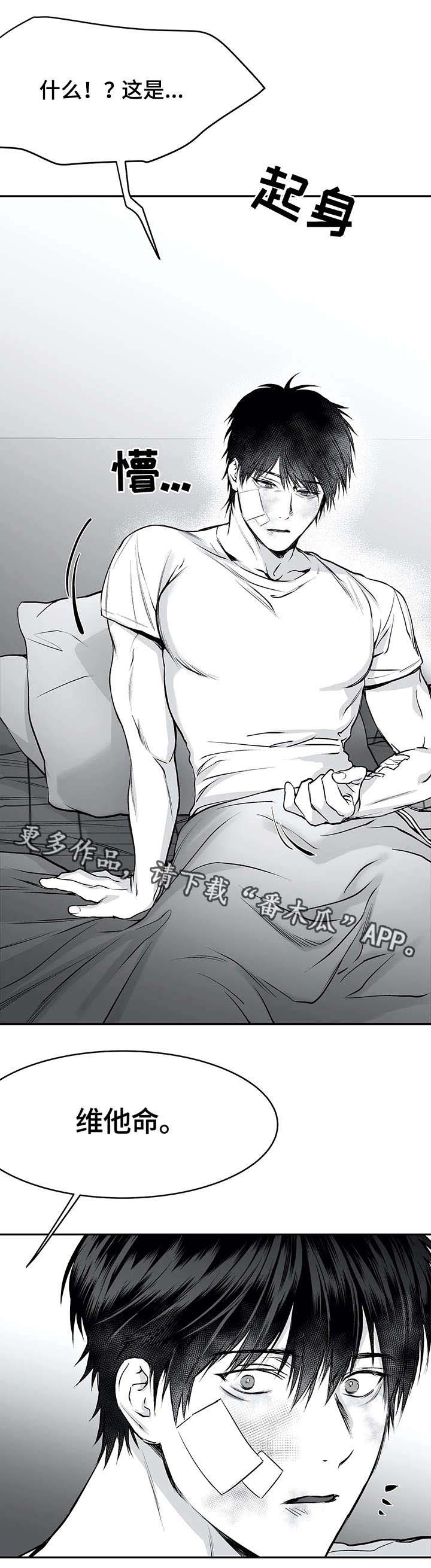 拳击手漫画,第30章：行动1图