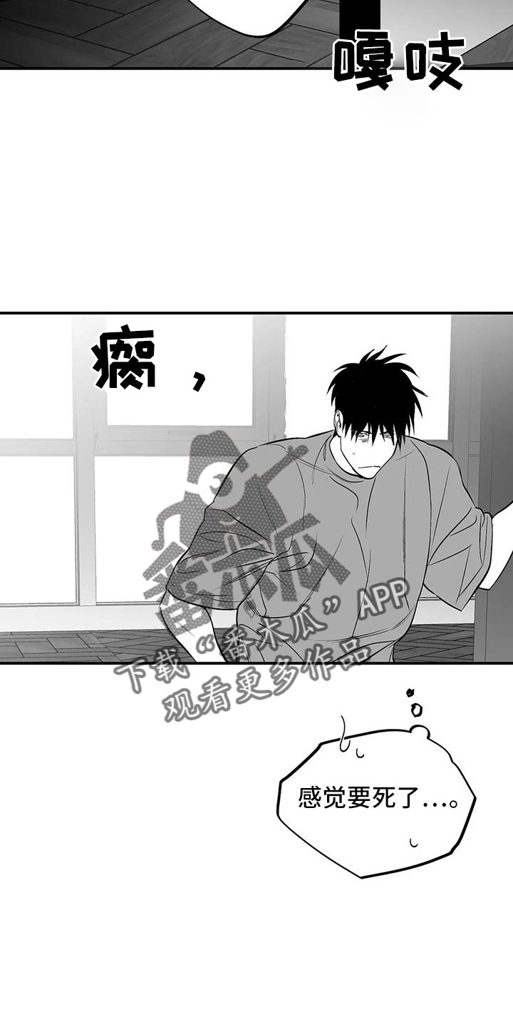拳击手漫画,第209章：【第三季】要死了1图