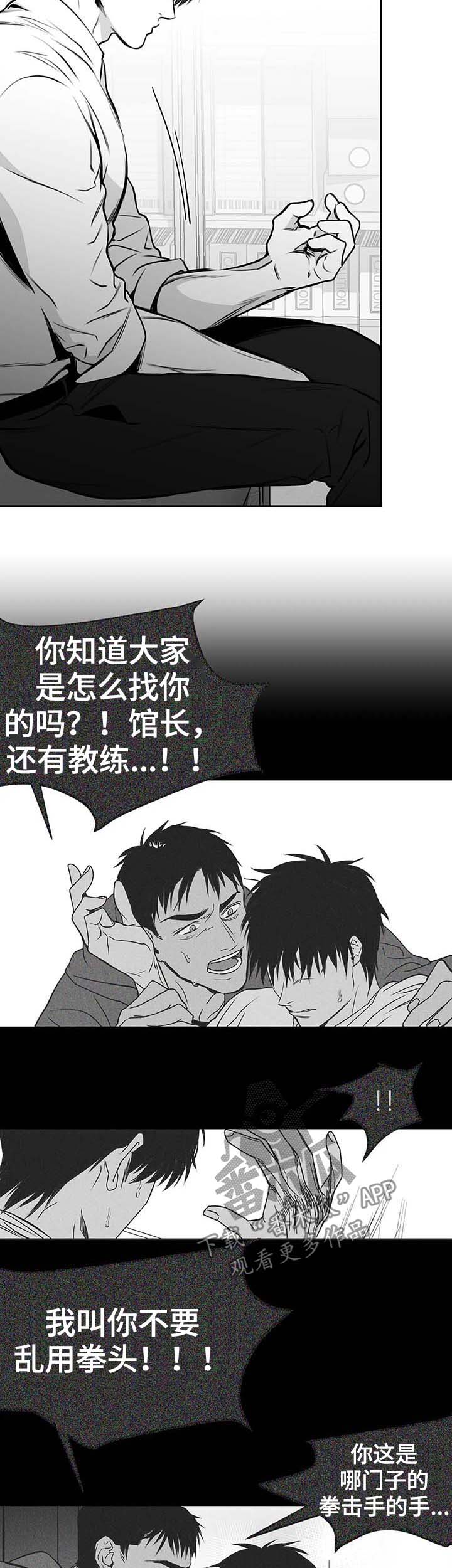 拳击手漫画,第66章：期待担心1图