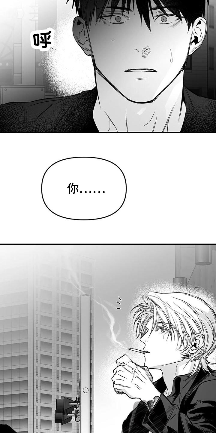 拳击手漫画,第197章：【第三季】你想听吗2图