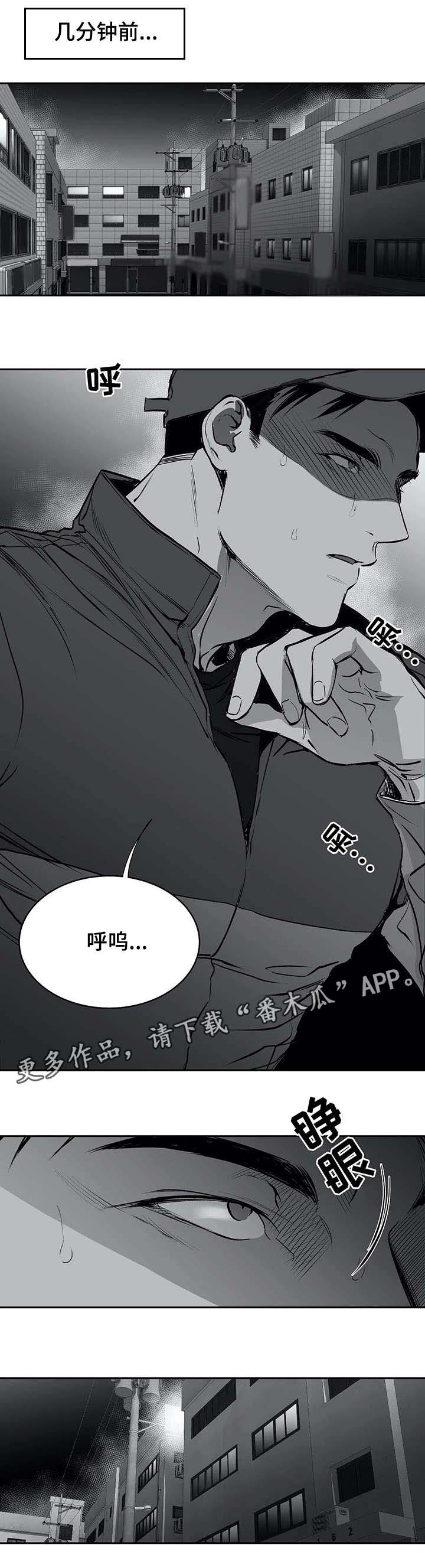 拳击手漫画,第20章：相遇1图