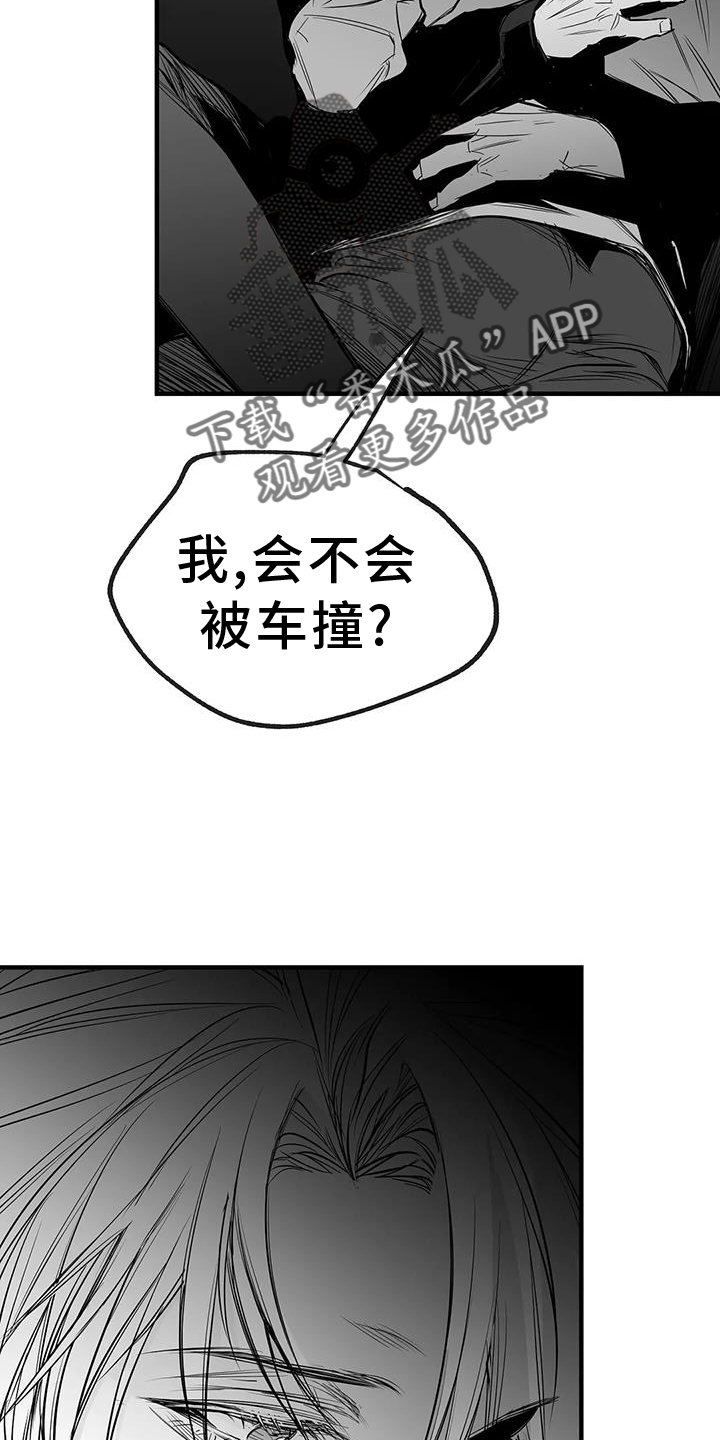 拳击手漫画,第231章：【第三季】恢复2图