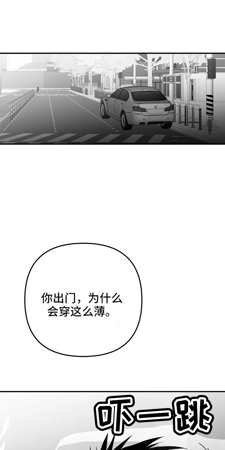 拳击手漫画,第202章：【第三季】今天不忙1图