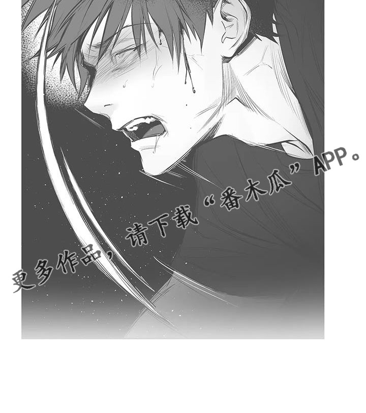 拳击手漫画,第212章：【第三季】条件是什么来着1图