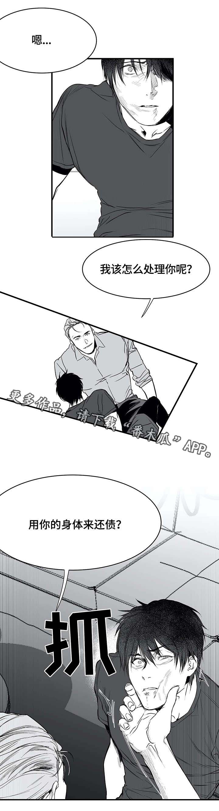 拳击手漫画,第8章：闹腾2图