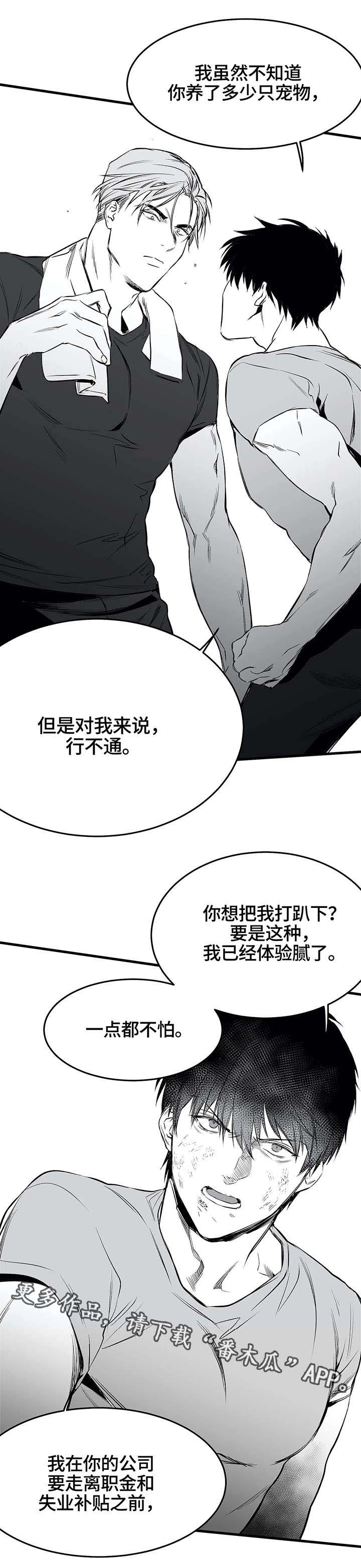 拳击手漫画,第16章：任务1图