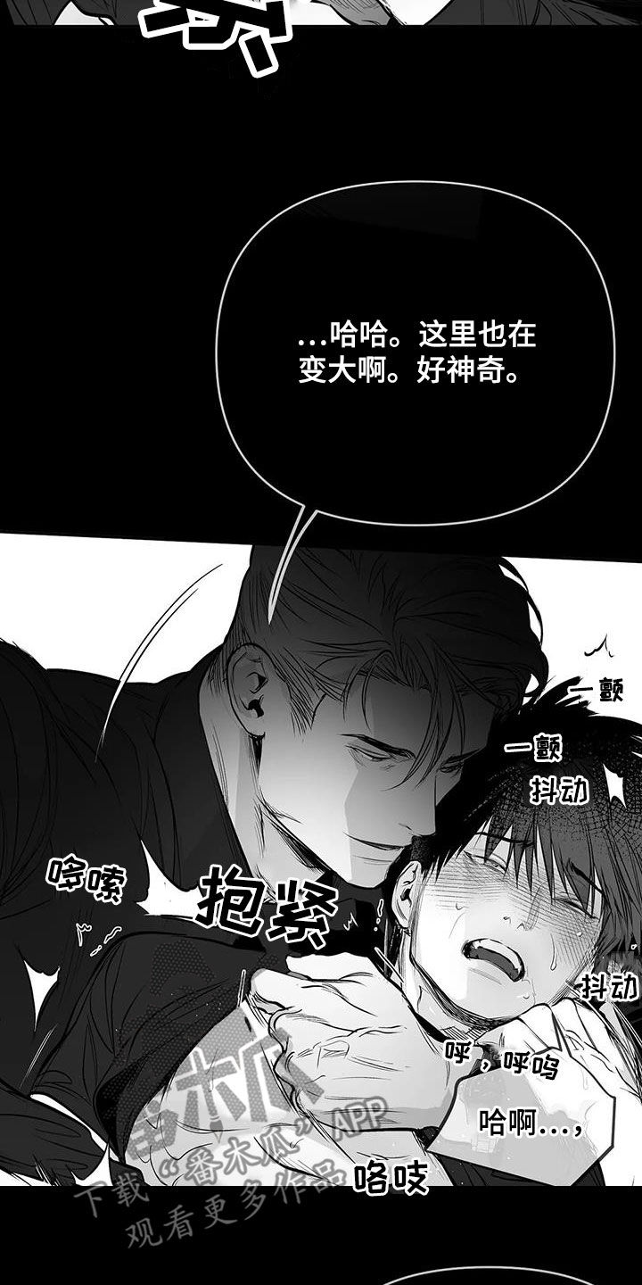拳击手漫画,第171章：【第三季】期待1图