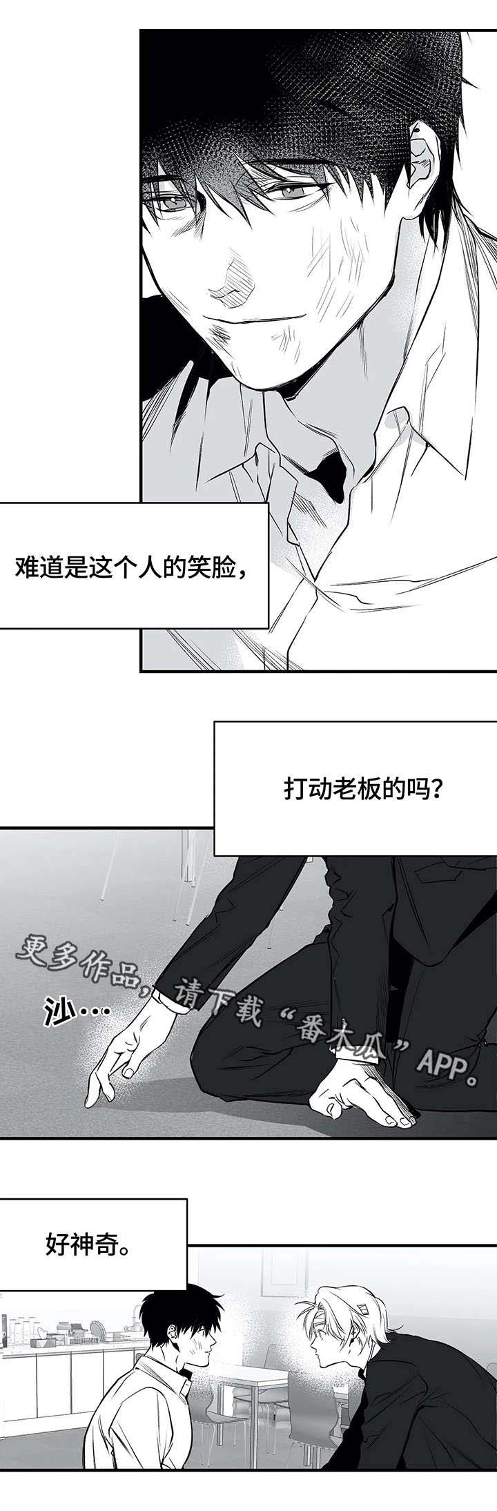 拳击手漫画,第14章：寻仇1图