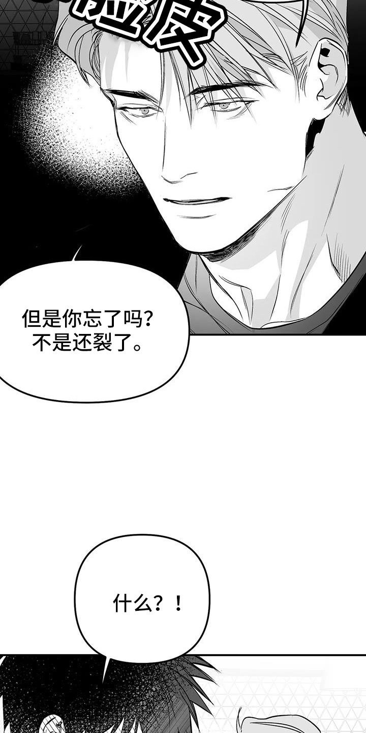 拳击手漫画,第211章：【第三季】我来接你1图