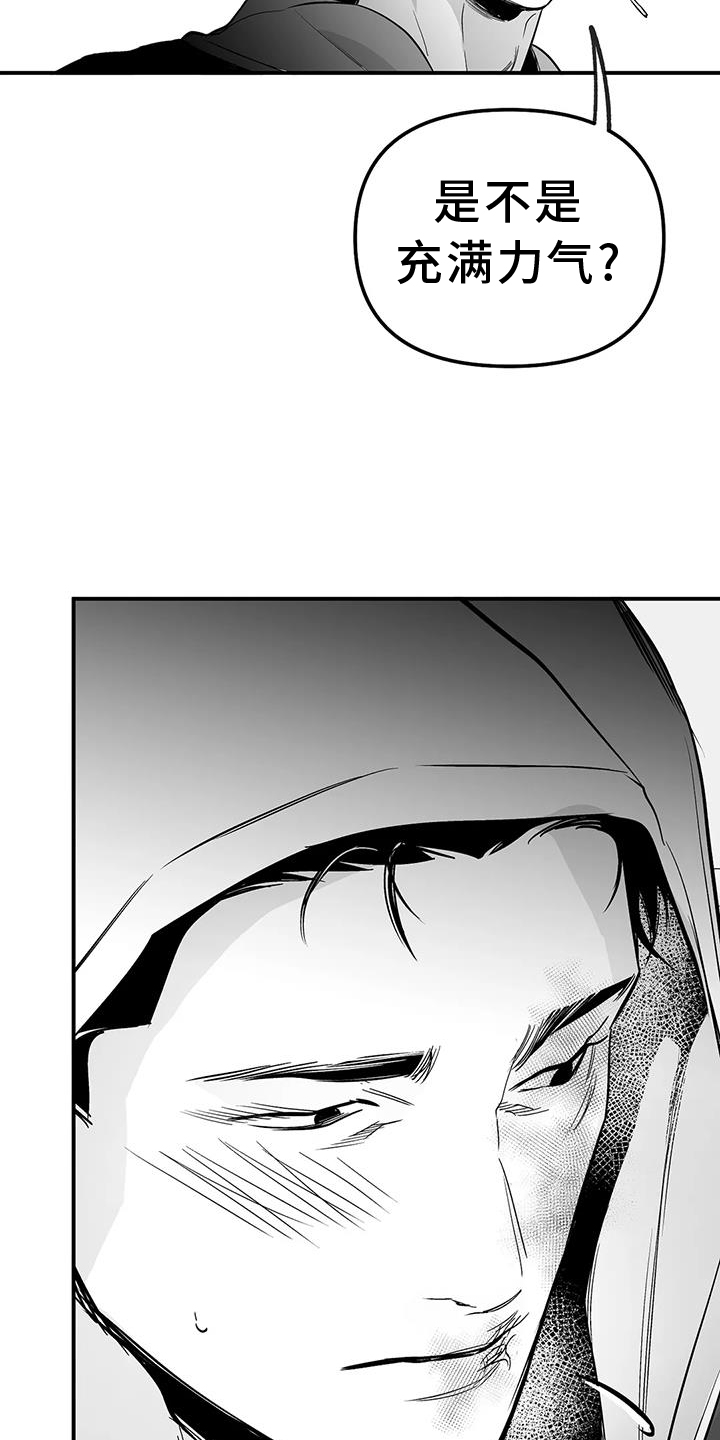 拳击手漫画,第228章：【第三季】感想1图