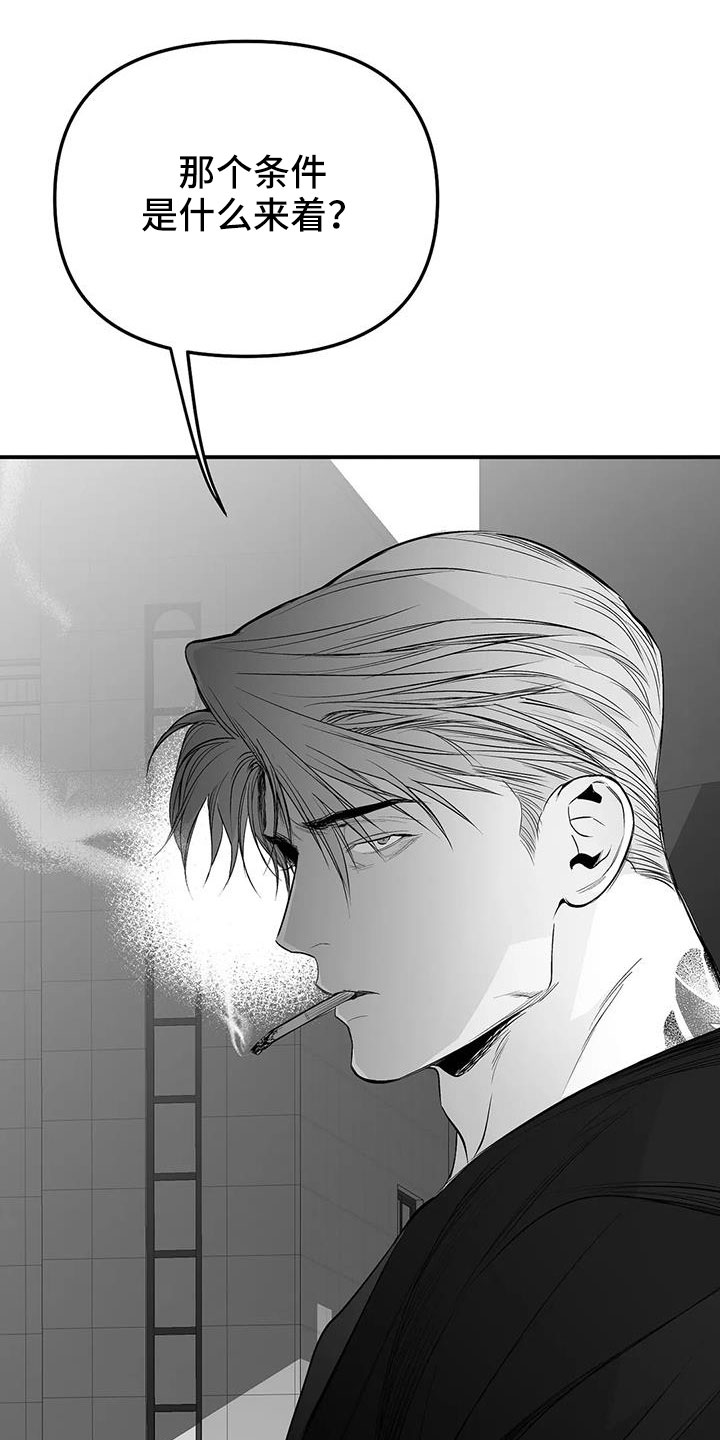 拳击手漫画,第212章：【第三季】条件是什么来着2图