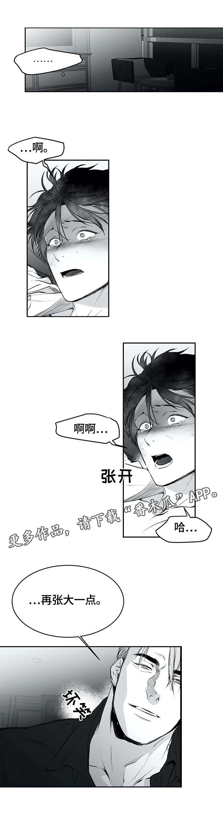 拳击手漫画,第26章：空白1图
