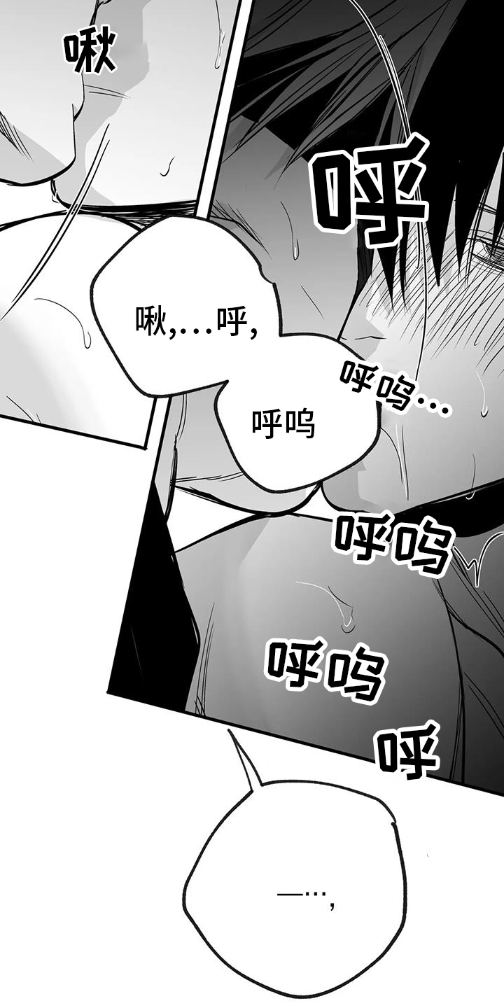 拳击手漫画,第237章：【第三季】闪耀1图