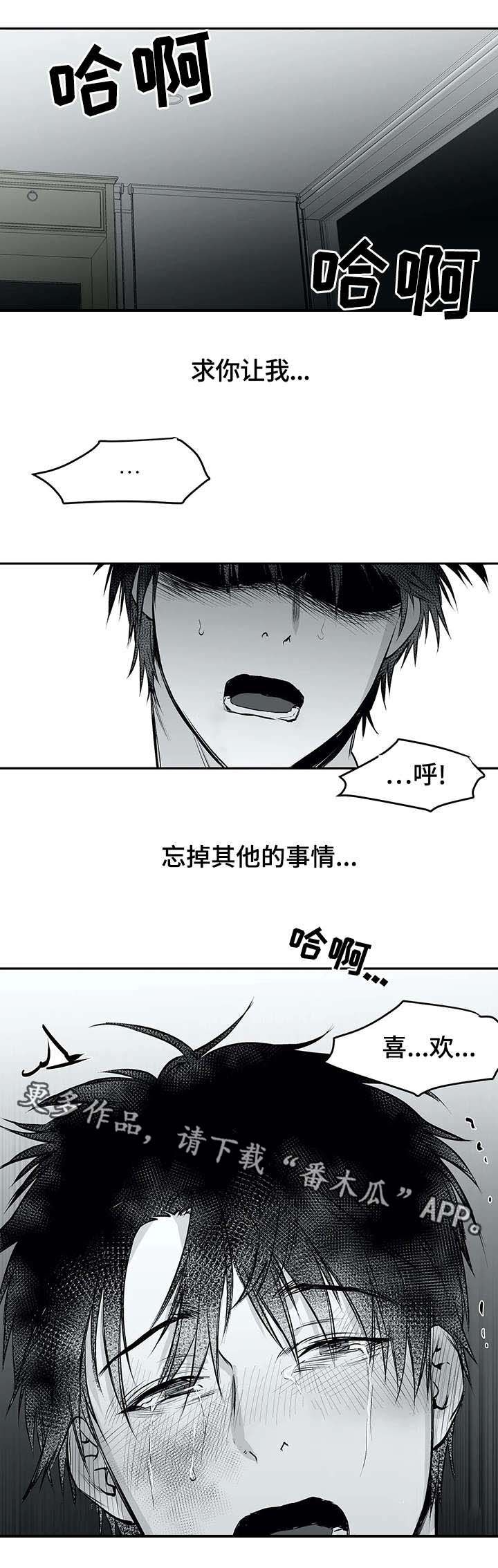 拳击手漫画,第27章：昏倒1图