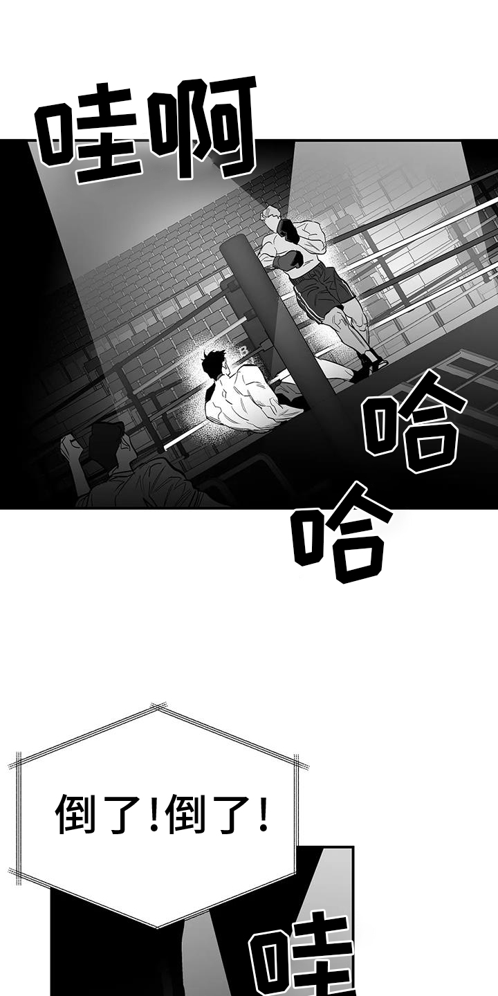 拳击手漫画,第227章：【第三季】站起1图