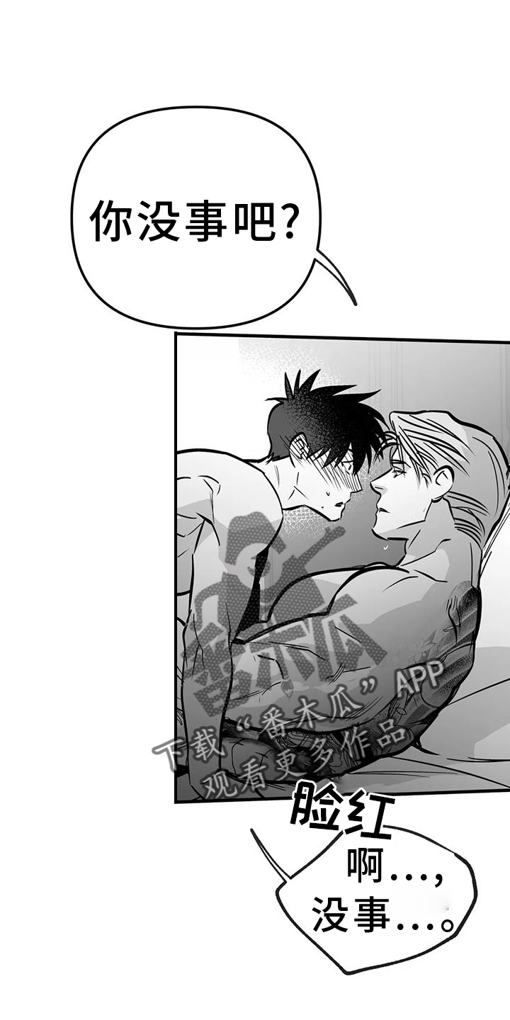 拳击手漫画,第235章：【第三季】别动2图