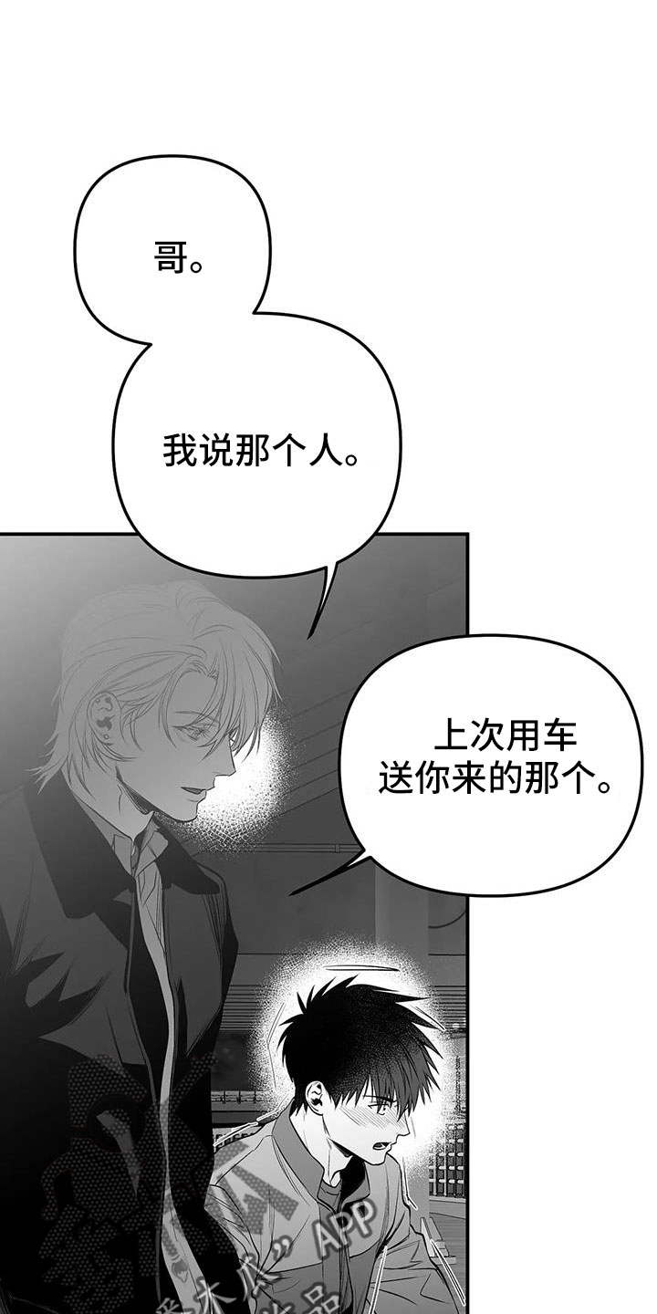 拳击手漫画,第216章：【第三季】不适合你2图