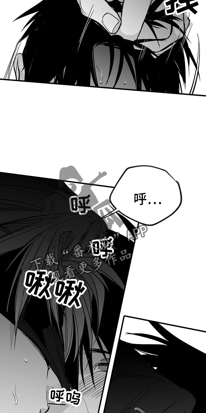 拳击手漫画,第237章：【第三季】闪耀2图