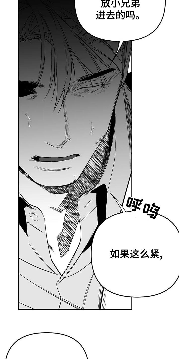 拳击手漫画,第189章：【第三季】很好1图