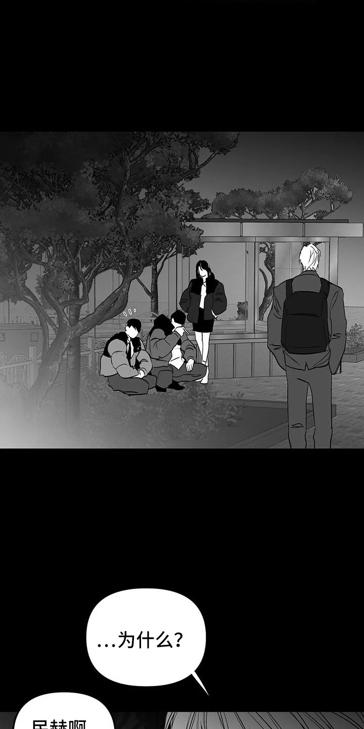 拳击手漫画,第217章：【第三季】戒指2图