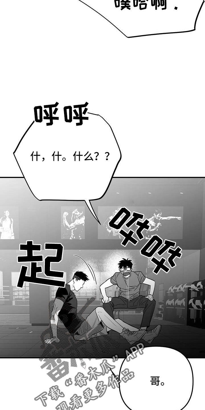 拳击手漫画,第214章：【第三季】那人很危险1图