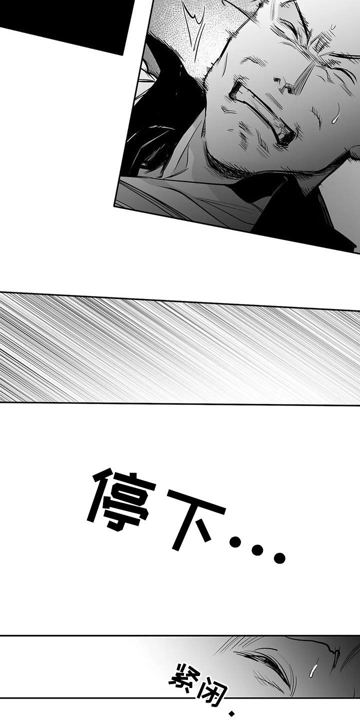 拳击手漫画,第165章：【第三季】碾压2图