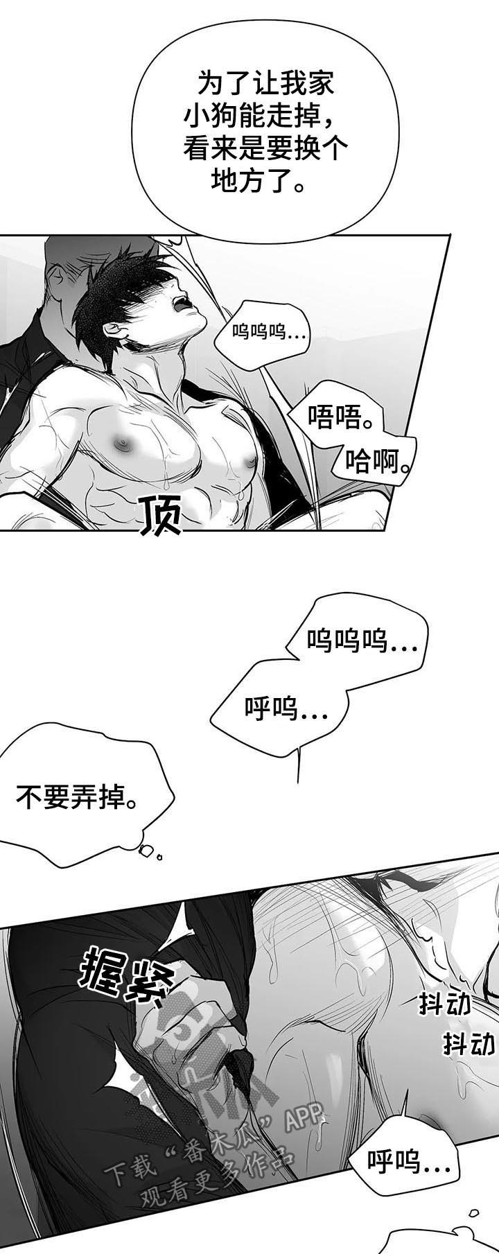 拳击手漫画,第112章：【第二季】很好奇1图