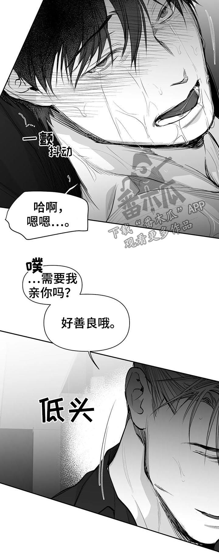 拳击手漫画,第112章：【第二季】很好奇1图