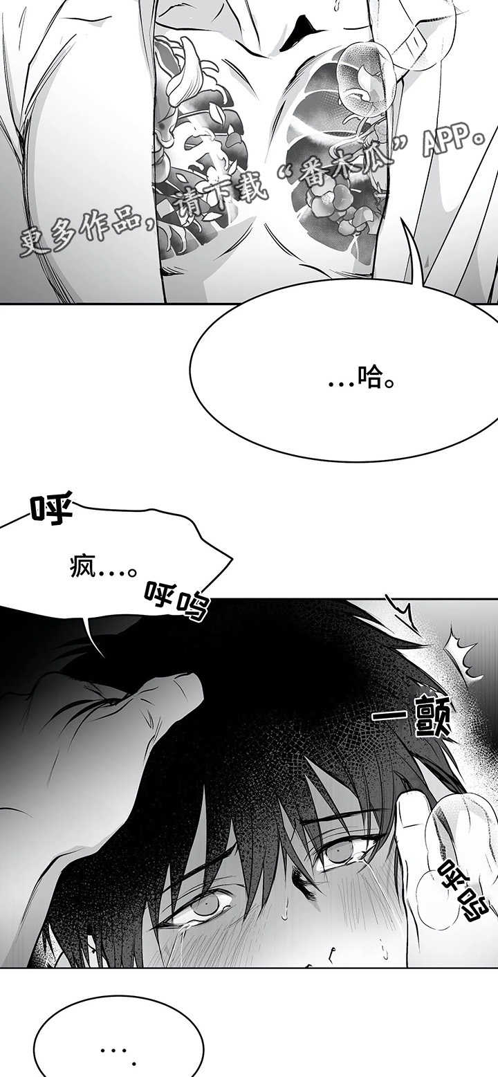 拳击手漫画,第38章：不一样2图