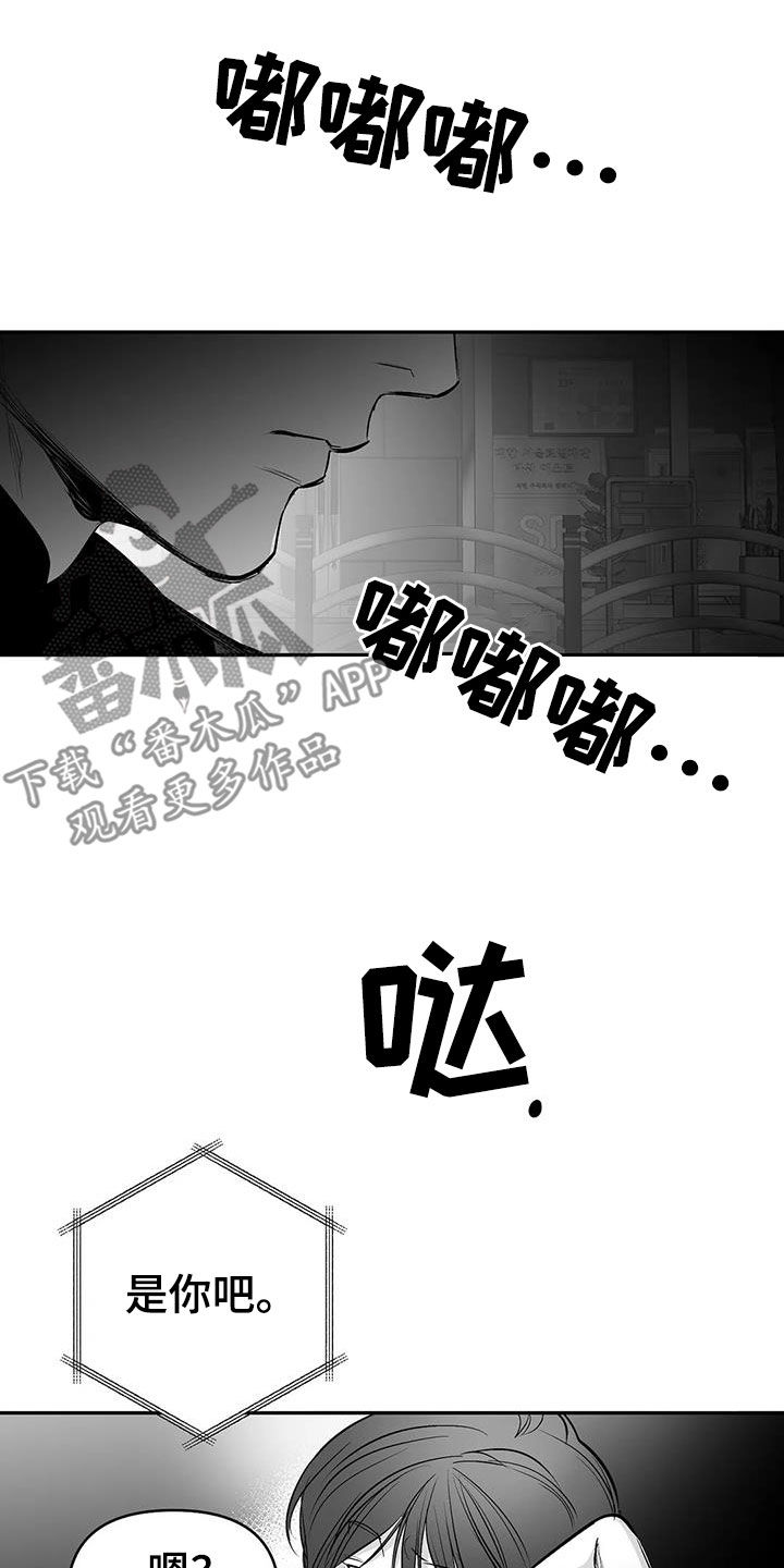 拳击手漫画,第177章：【第三季】你再多说点1图