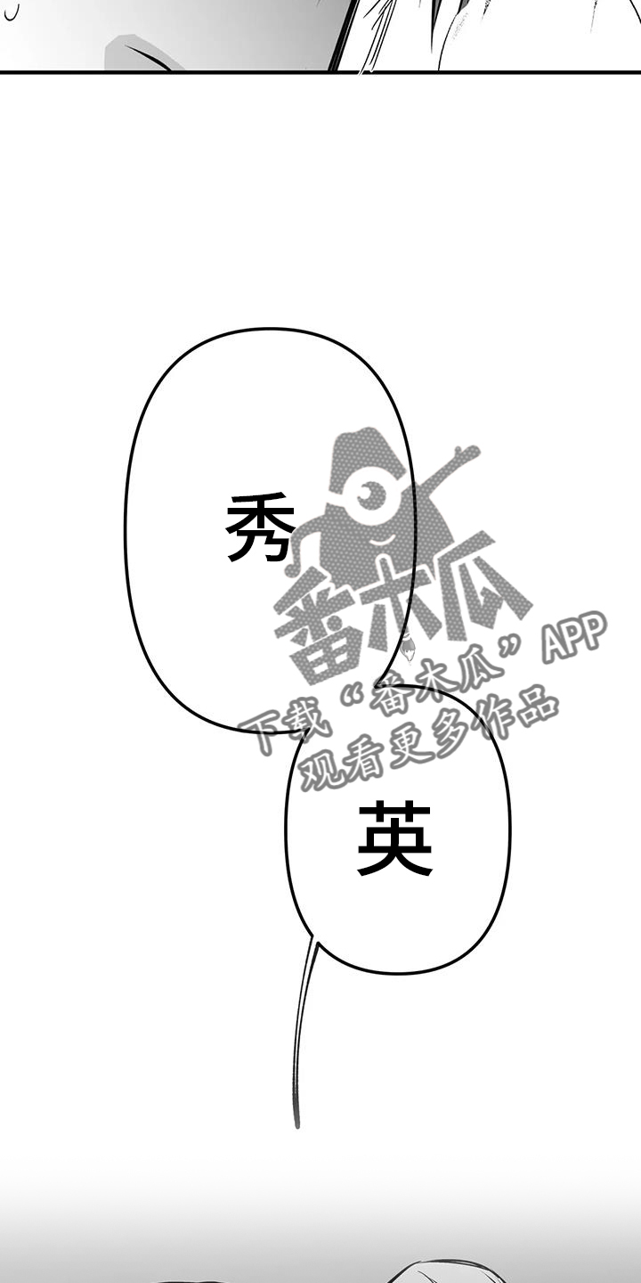 拳击手漫画,第237章：【第三季】闪耀2图