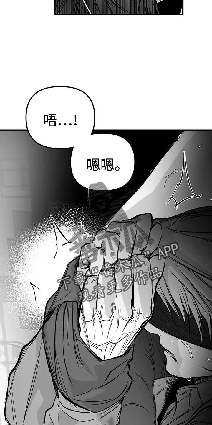 拳击手漫画,第236章：【第三季】反客为主2图