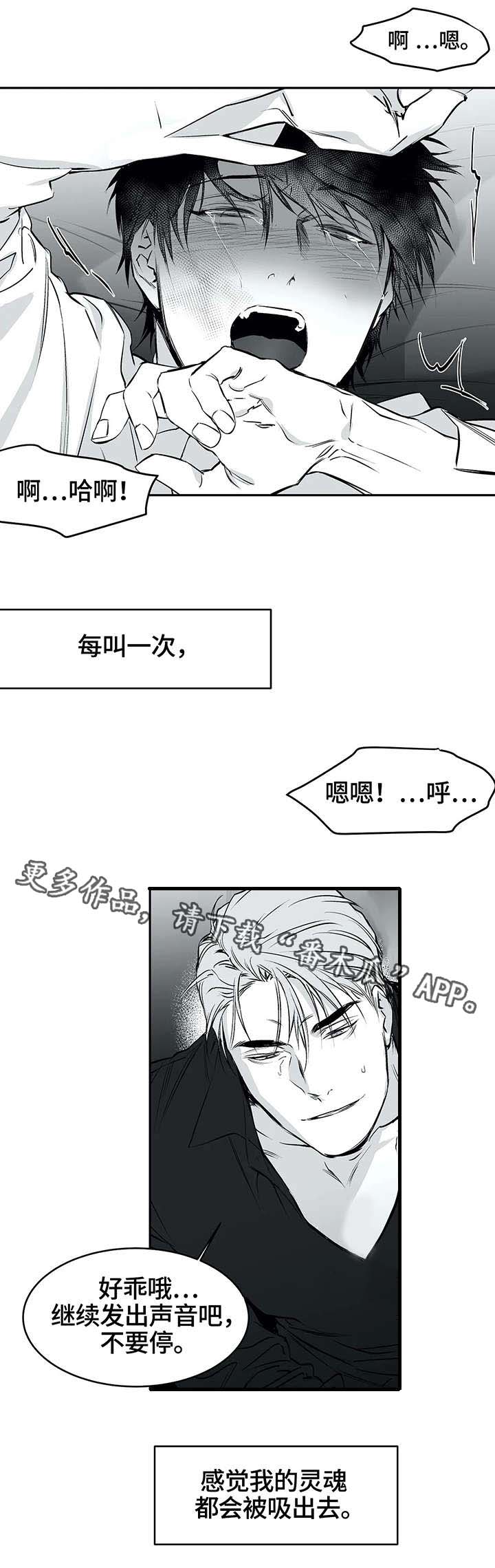 拳击手漫画,第26章：空白2图
