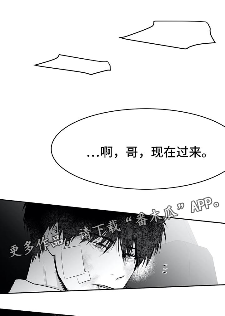 拳击手漫画,第36章：你自己来1图