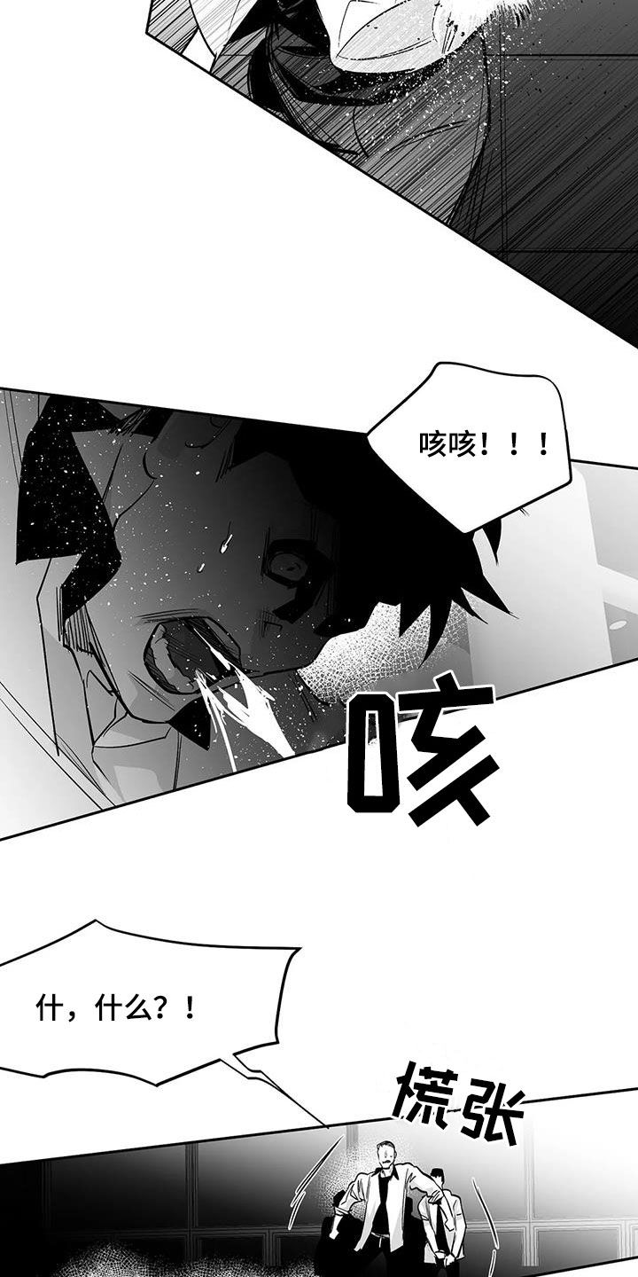 拳击手漫画,第165章：【第三季】碾压2图