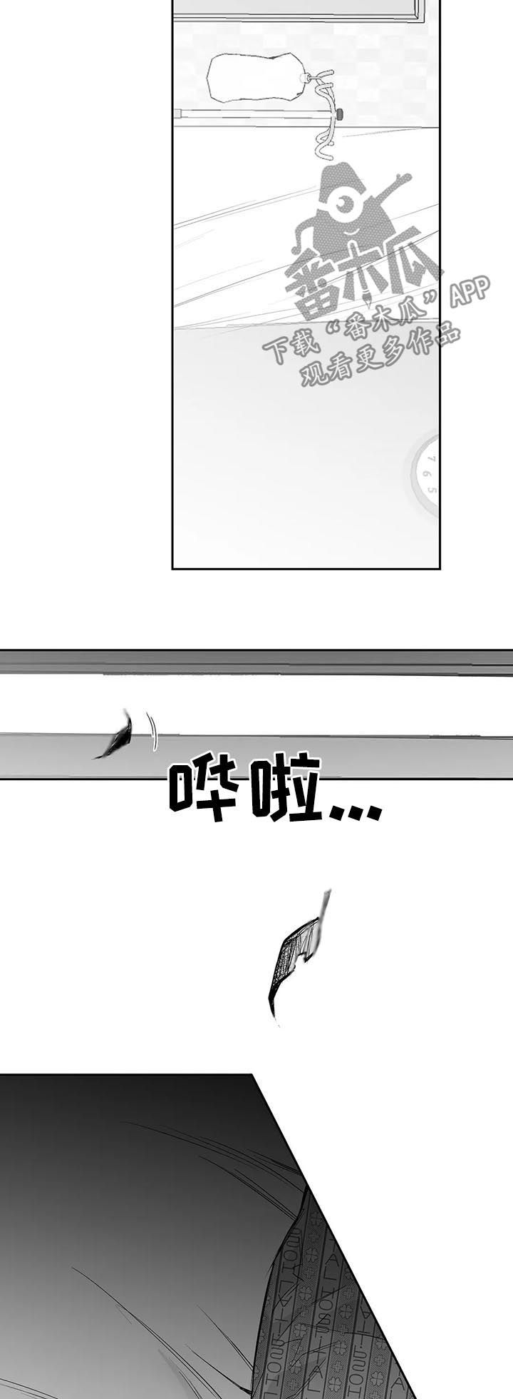 拳击手漫画,第88章：【第二季】醒来2图