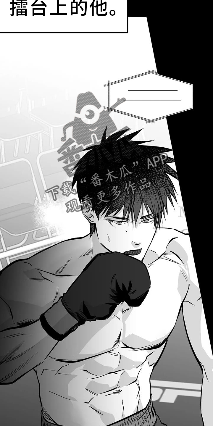 拳击手漫画,第234章：【第三季】表现2图