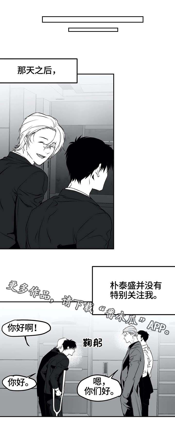 拳击手漫画,第19章：组织1图