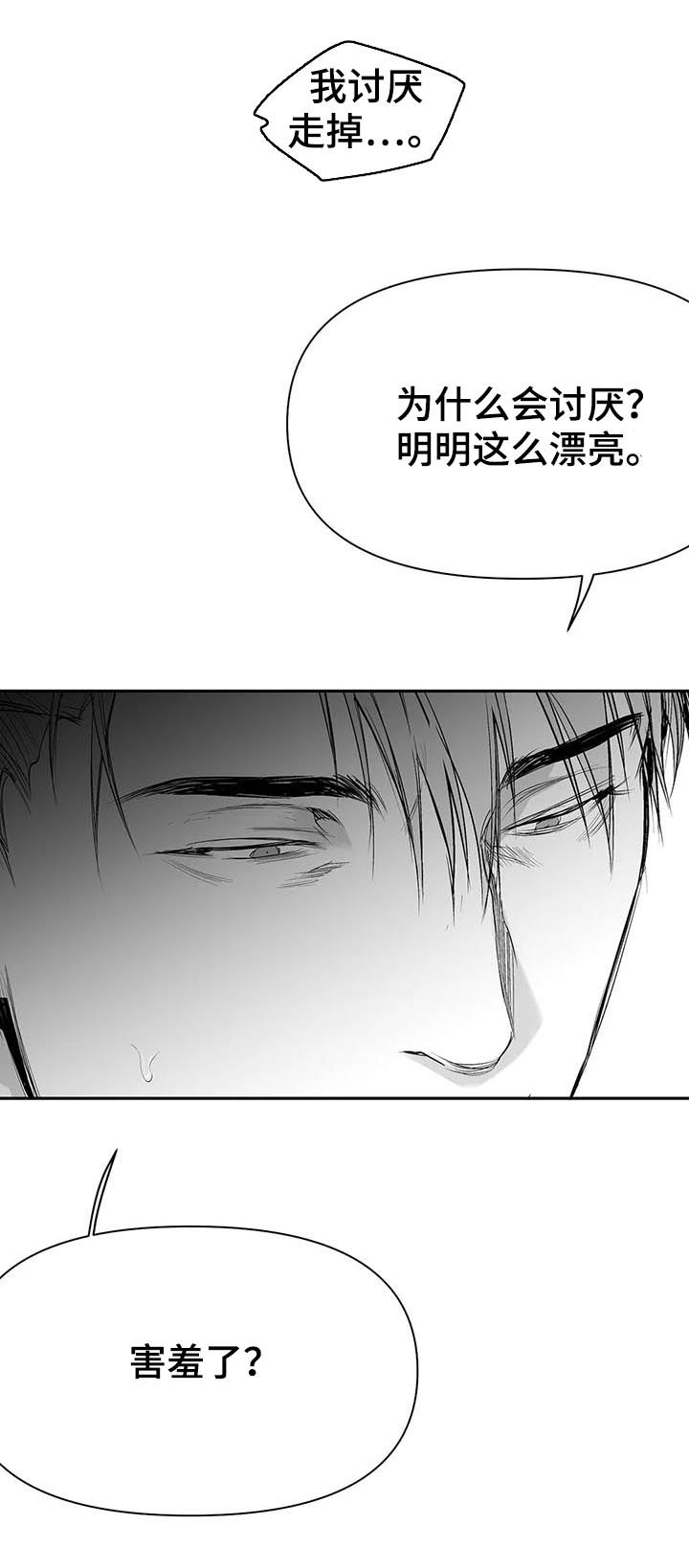 拳击手漫画,第112章：【第二季】很好奇1图