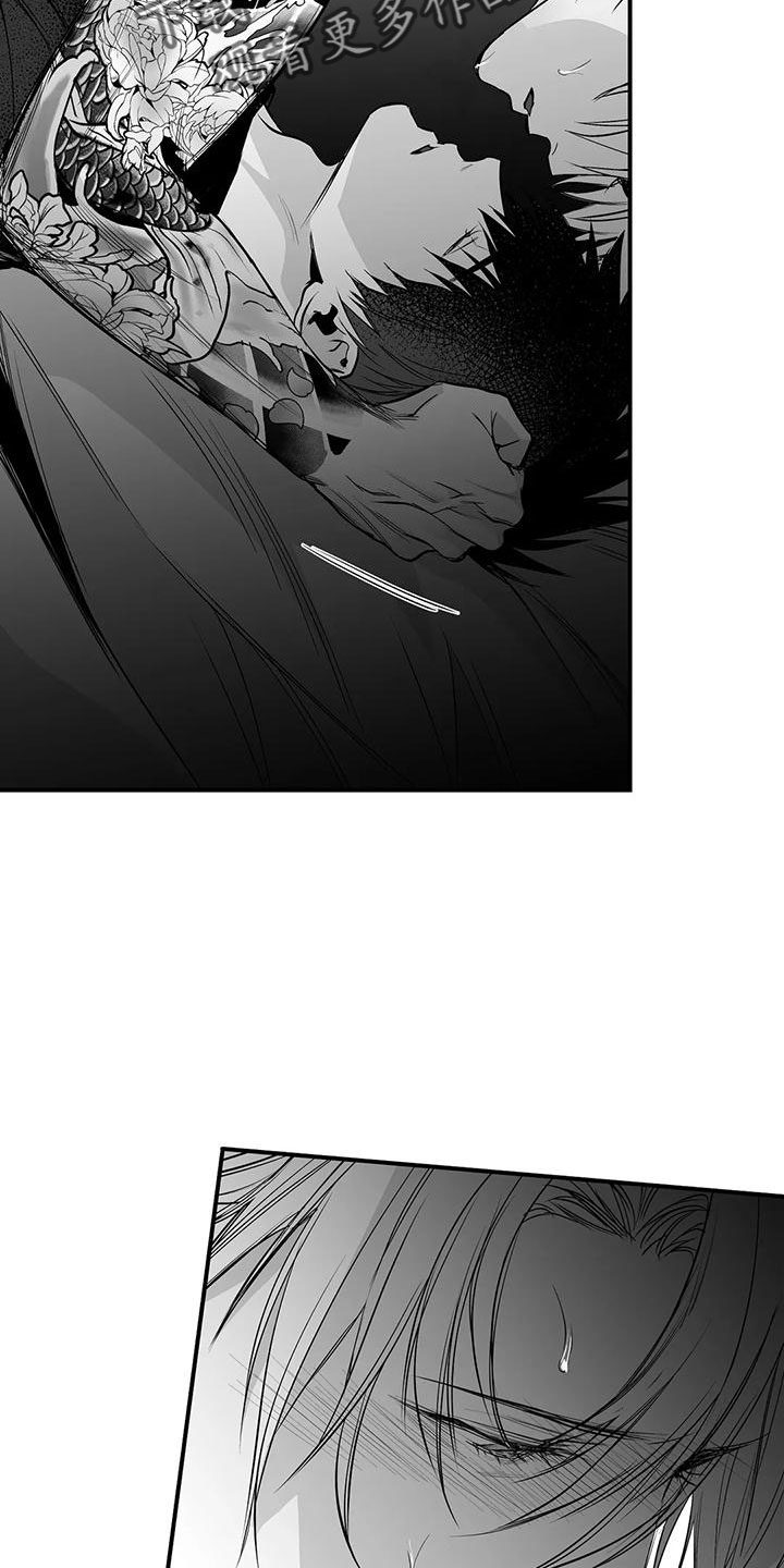 拳击手漫画,第200章：【第三季】开始行动2图