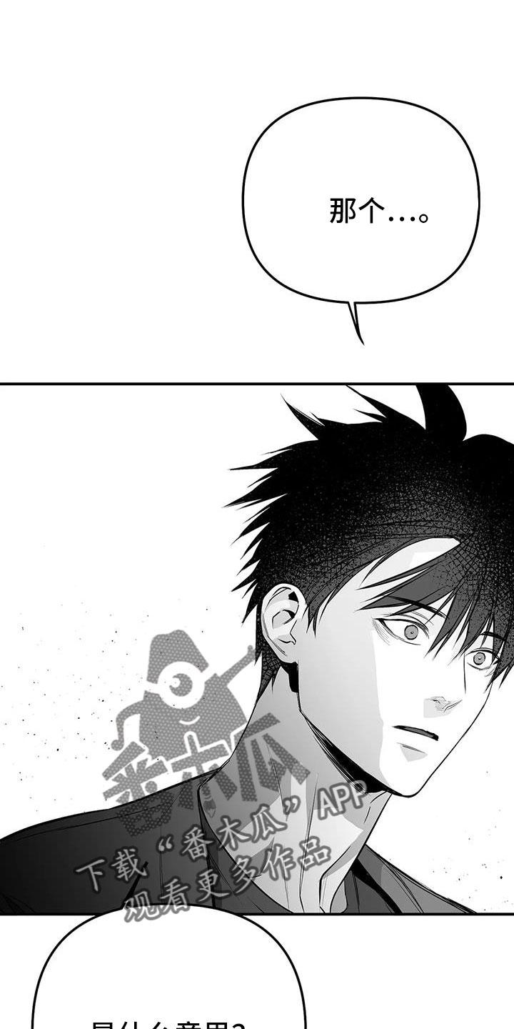 拳击手漫画,第220章：【第三季】送你回去2图