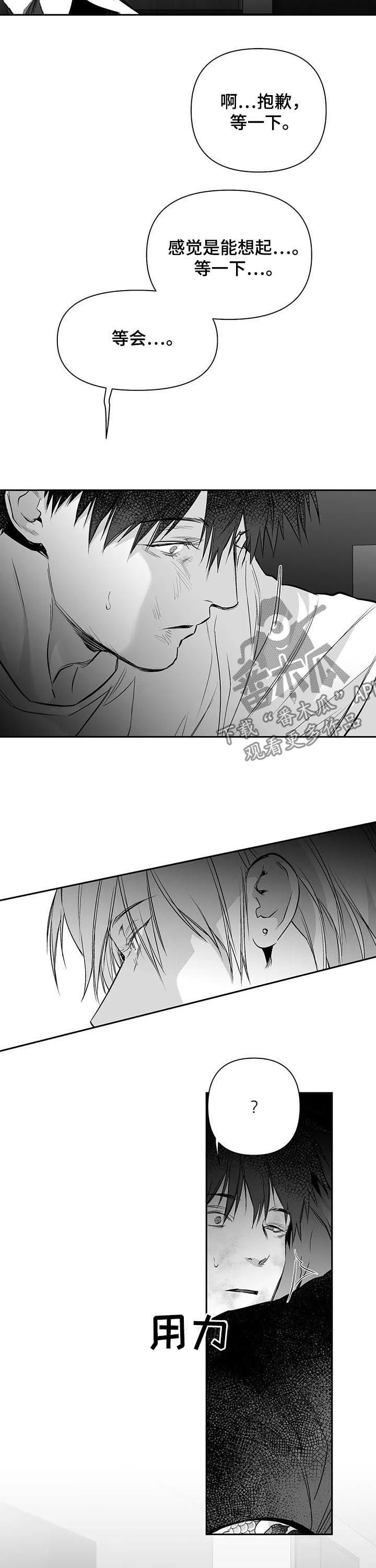 拳击手漫画,第126章：【第二季】我来保护你2图