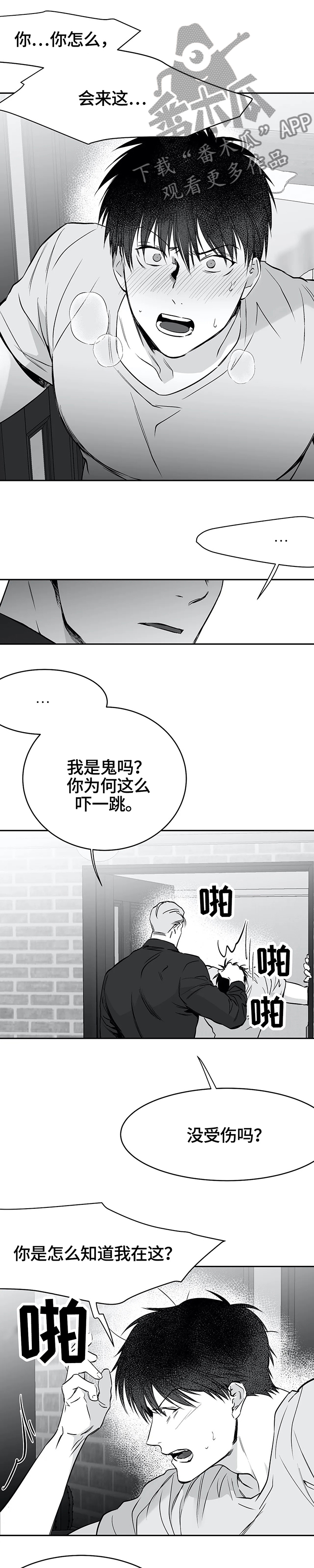 拳击手漫画,第54章：放心了1图