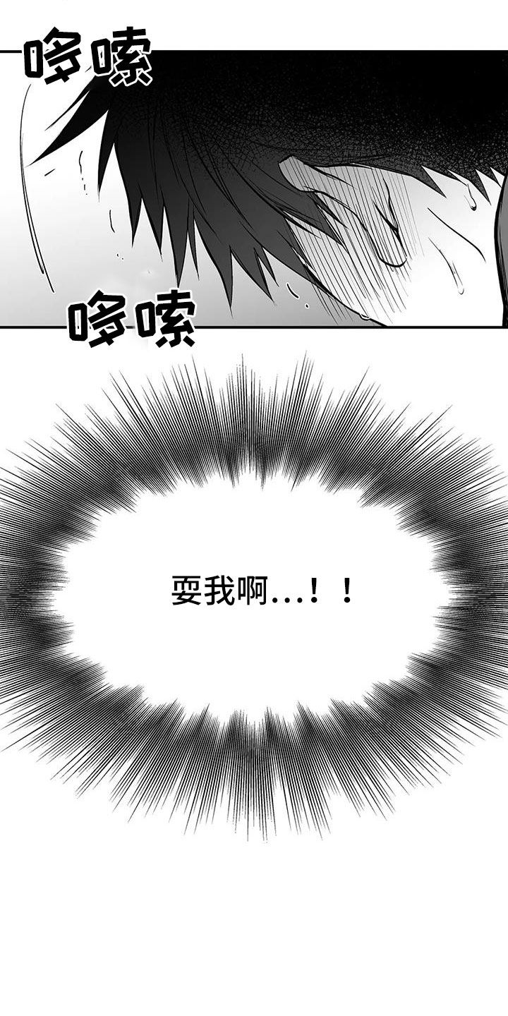 拳击手漫画,第206章：【第三季】耍我啊1图