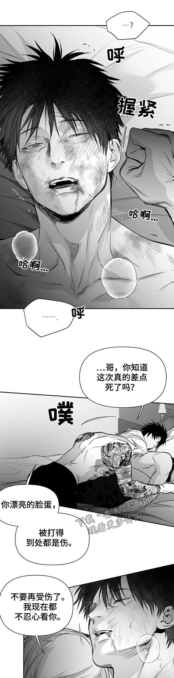 拳击手漫画,第121章：【第二季】到此为止吧1图