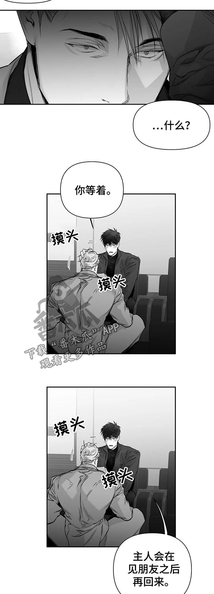 拳击手漫画,第108章：【第二季】调查1图