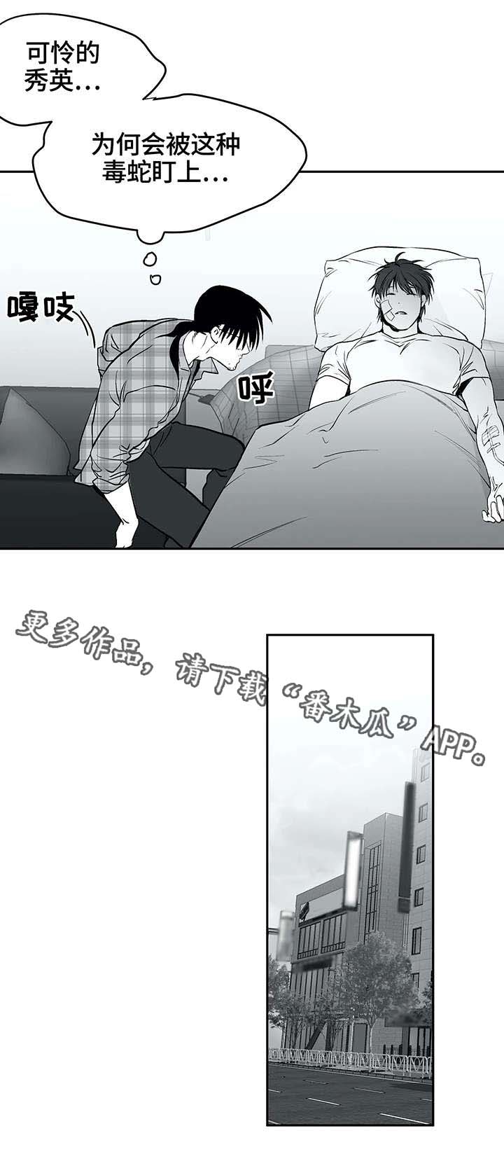 拳击手漫画,第28章：毒蛇2图